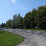 Widok po wycięciu drzewa na ul. Kościuszki 